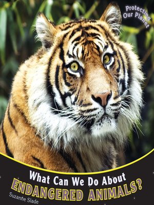 cover image of What Can We Do About Endangered Animals?